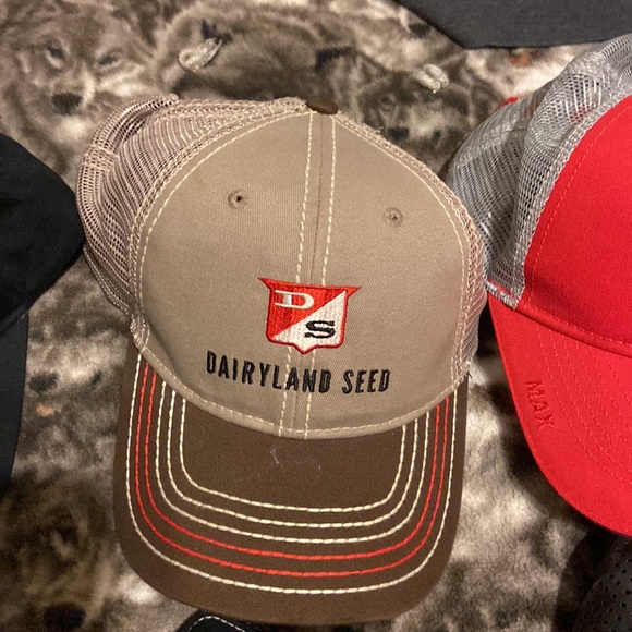 Hat Assortment - Picture 3 of 8